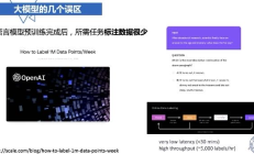 大模型时代的危与机，复旦大学计算机学院教授张奇