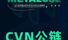 币圈诈骗之王BXH&CVNT王某彬又来了，韭菜们跟不跟