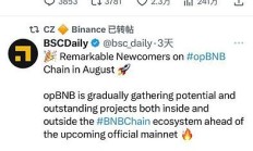 赵长鹏的战略布局opBNB和它的黑马MEKE