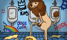 Poodl Inu 为何暴涨？Bonk 和 Wif 投资者正在转向这个仍然低市值的模因币宝石