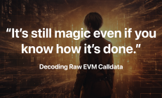 如何解码原始 EVM Calldata 数据