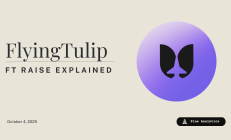 FlyingTulip FT 融资详解