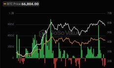 全球比特币ETF持仓突破100万枚头部持仓机构都有哪些