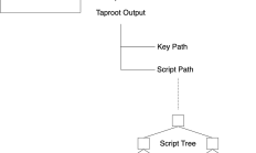 理解 Taproot Assets 协议